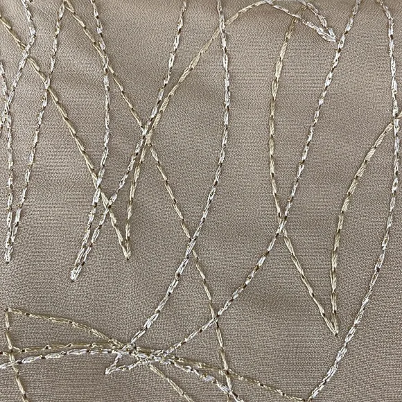 NWT Express Tan Blouse with Metallic Thread and Button Down Back - Size Large - Picture 3 of 14